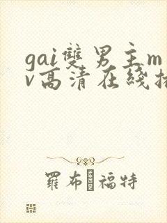 gai双男主mv高清在线播放