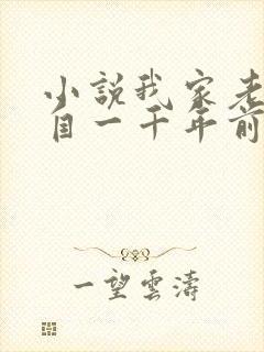 小说我家老婆来自一千年前大结局