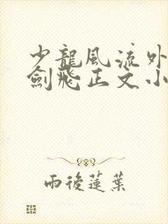 少龙风流外传龙剑飞正文小说