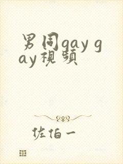 男同gay gay视频