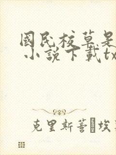国民校草是女生 小说下载txt封面