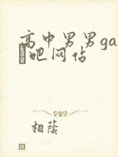 高中男男gay鳮吧网站