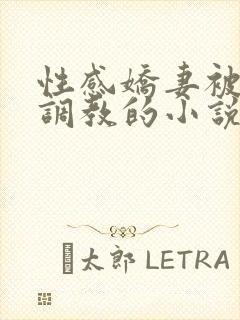 性感娇妻被上司调教的小说