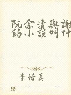 阮念清与谢存旭的小说叫什么