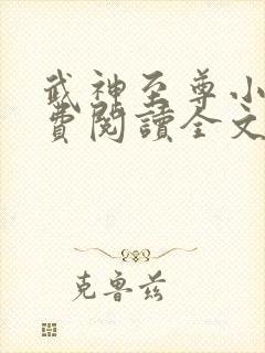 武神至尊小说免费阅读全文