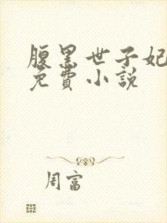 腹黑世子妃日常免费小说封面