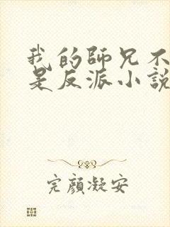 我的师兄不可能是反派小说