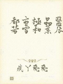 都市极品医神夏若雪和叶辰孙怡封面