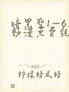 暗黑圣1—6集动漫免费观看