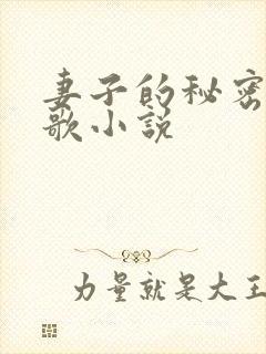 妻子的秘密君莫歌小说封面