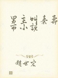 男主叫秦寿的都市小说