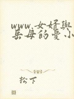 www.女婿与岳母的爱小说