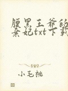 腹黑王爷的绝色弃妃txt下载