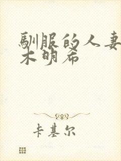 驯服的人妻佐佐木明希封面