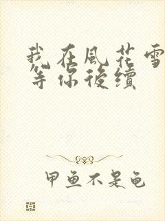 我在风花雪月里等你后续