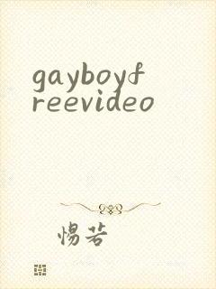 gayboyfreevideo封面