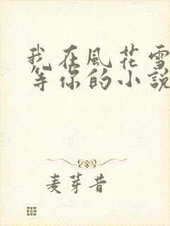 我在风花雪月里等你的小说