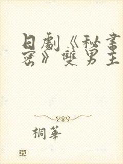 日剧《秘书的秘密》双男主电视剧