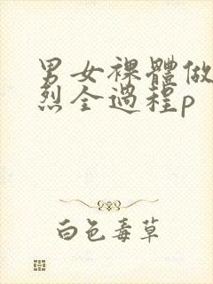 男女裸体做爰猛烈全过程p