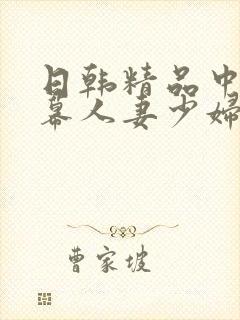 日韩精品中文字幕人妻少妇