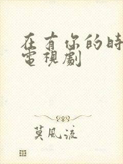 在有你的时光里电视剧