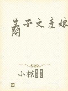 生子文产娘笔趣阁封面