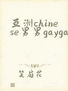 亚洲chinese男男gaygay网站