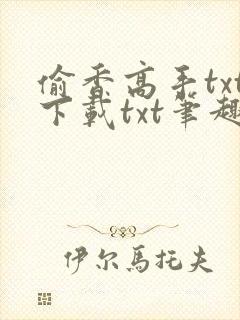 偷香高手txt下载txt笔趣阁