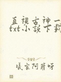 直视古神一整年txt小说下载
