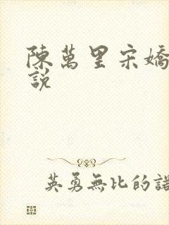 陈万里宋娇娇小说