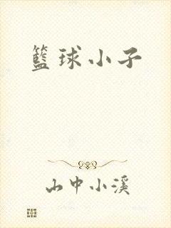 篮球小子