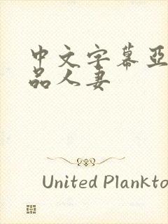 中文字幕亚洲精品人妻