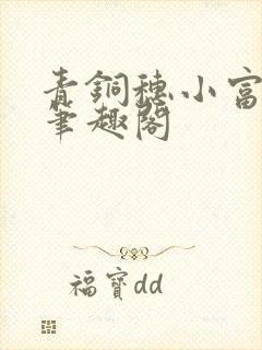 青铜穗小富则安笔趣阁