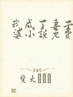 我成了妻子的老婆小说免费阅读全文封面