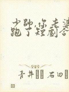 少帅,你老婆又跑了短剧合集