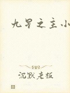 九星之主小说封面