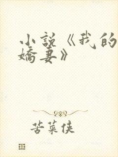 小说《我的极品娇妻》