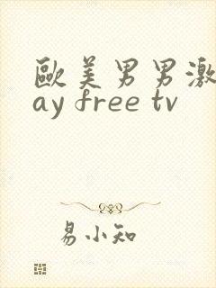 欧美男男激情gay free tv