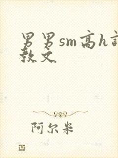 男男sm高h调教文