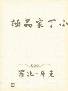 极品家丁小说封面