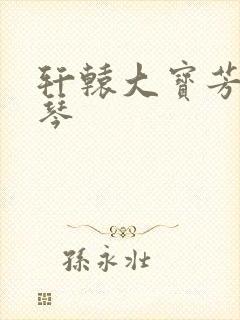 轩辕大宝芳菲雅琴