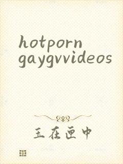 hotporngaygvvideos