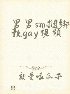 男男sm捆绑调教gay视频封面