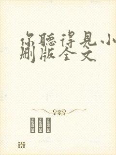 你听得见小说未删版全文