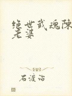 绝世武魂陈枫的老婆