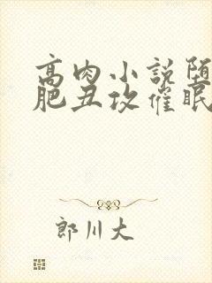 高肉小说堕落老肥丑攻催眠