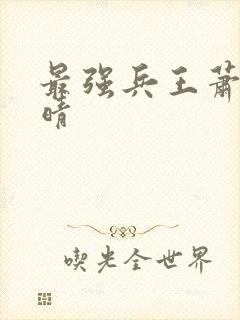 最强兵王萧晨苏晴