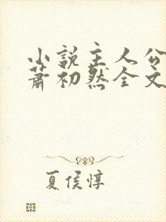 小说主人公叶辰萧初然全文免费封面