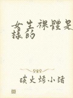 女生裸体是什么样的