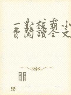 一对校霸小说免费阅读全文无弹窗